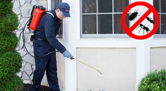 Küçükçekmece Hamam Böceği İlaçlama böcek ilaçlama ve haşere kontrolü — ilaclama-tr.com